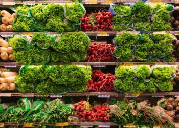 Des journalistes béninois se forment à Parakou pour promouvoir la consommation de légumes sains