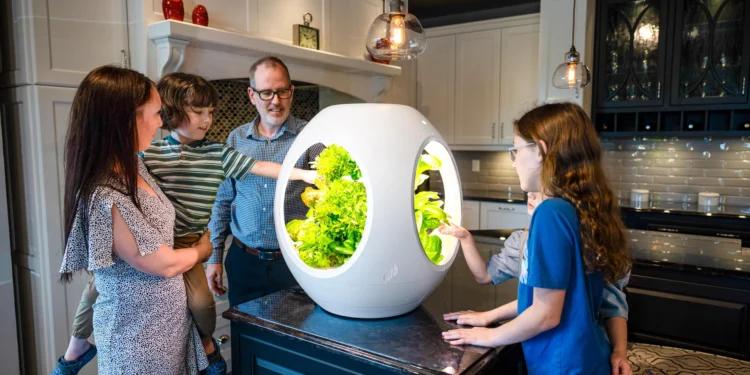 L&rsquo;intelligence artificielle bouleverse les communautés passionnées de plantes d&rsquo;intérieur en ligne