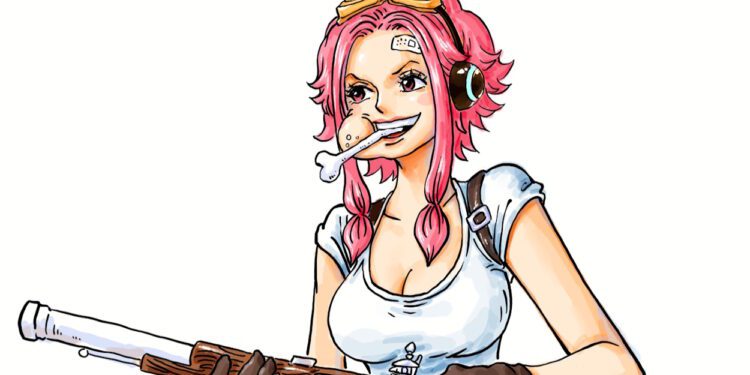 One piece: le destin tragique de la mère de Bonney enfin révélé…