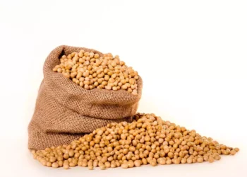 Développement industriel : le Bénin sommé de s’expliquer sur la filière soja