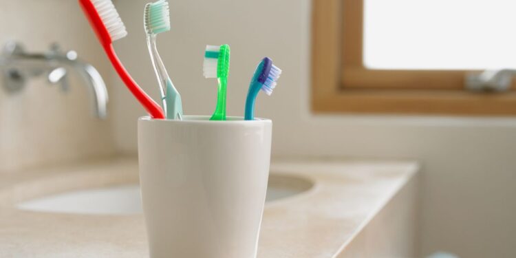 Onze objets du quotidien qui abritent des colonies bactériennes insoupçonnées