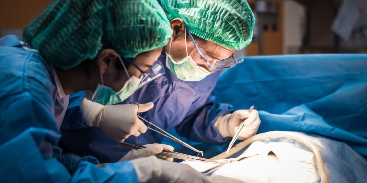 Des chirurgiens redonnent vie à un cœur « mort » et sauvent un nourrisson grâce à une greffe inédite