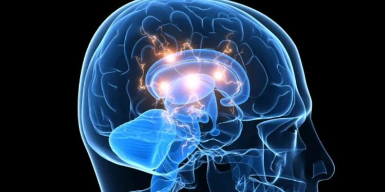 Cette puissante substance psychédélique rappelle mystérieusement les expériences de mort imminente