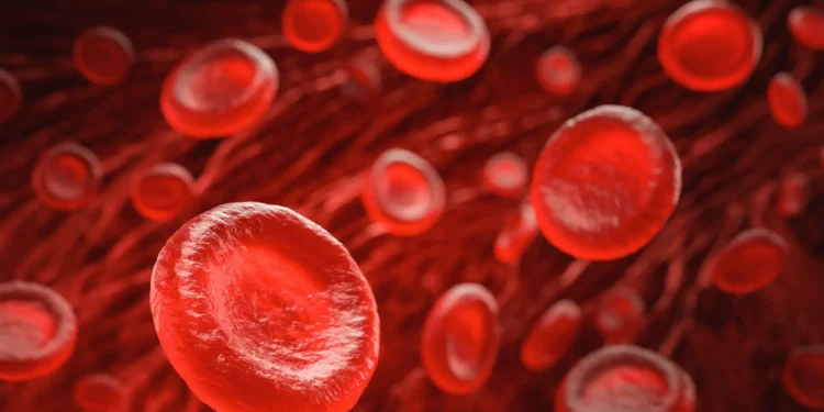 Un mystère hématologique vieux de cinq décennies élucidé par la science moderne