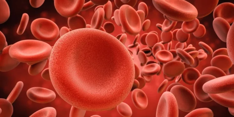 Une nouvelle découverte majeure : un groupe sanguin inédit révèle un mystère vieux de 50 ans