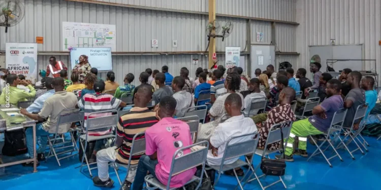 Emploi au Bénin : le PSIE lance plus de 70 recrutements dans plusieurs communes