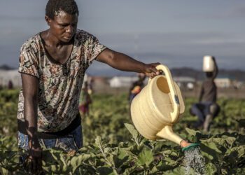 FNDA ouvre un appel à projets pour booster l’agriculture béninoise