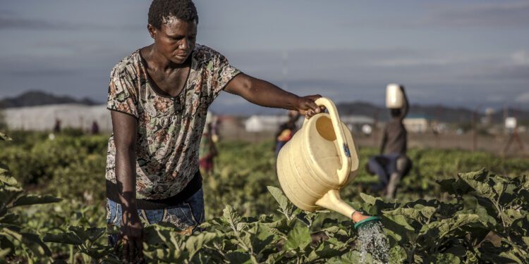 FNDA ouvre un appel à projets pour booster l’agriculture béninoise