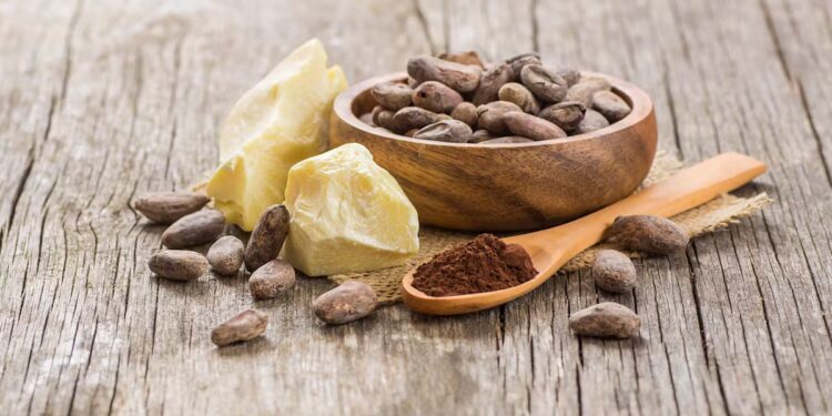 Cacao : un extrait naturel qui freinerait l’inflammation liée à l’âge