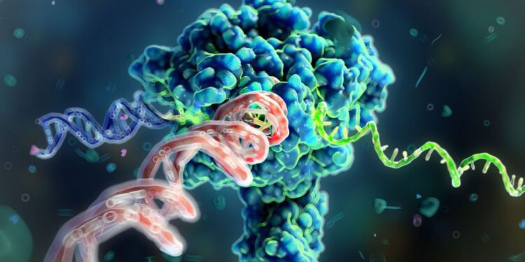 Le Nobel de médecine 2025 récompense la découverte des gardiens de notre immunité