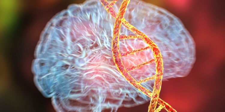 Huit troubles psychiatriques partagent une origine génétique commune